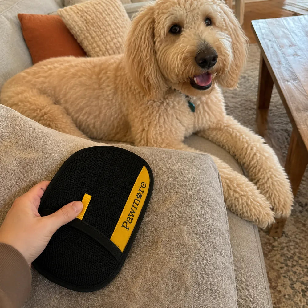 Customer proof showing FurSweep Mitt near a dog on a sofa.