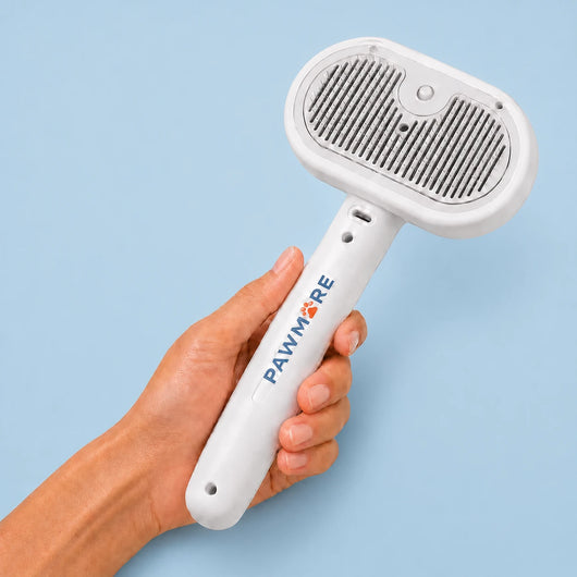 MistGroom Brush