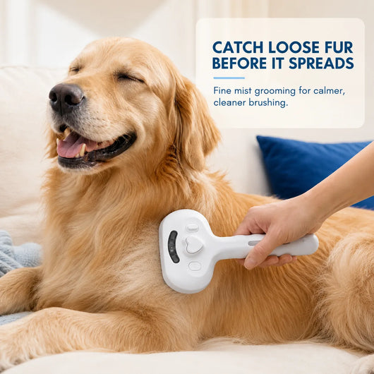 MistGroom Brush