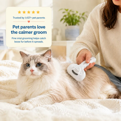 MistGroom Brush