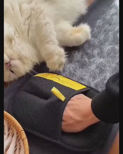FurSweep Mitt