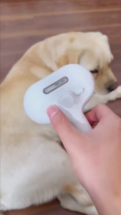 MistGroom Brush