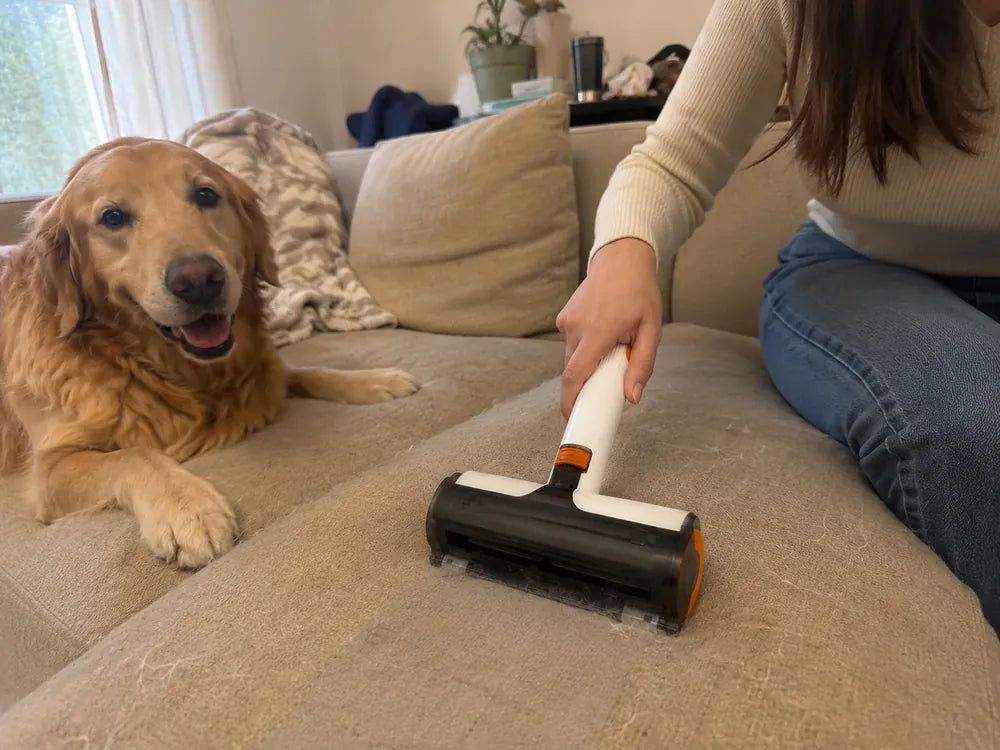 Customer result from using the FurLift Roller in a home with a dog.