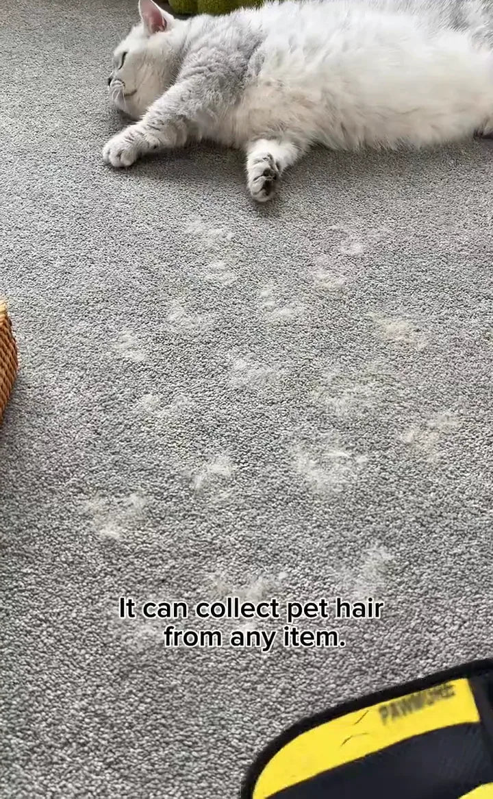 FurSweep Mitt gathering cat hair from carpet.