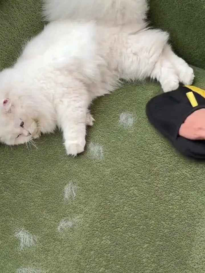 FurSweep Mitt cleaning pet hair from a sofa pet zone.