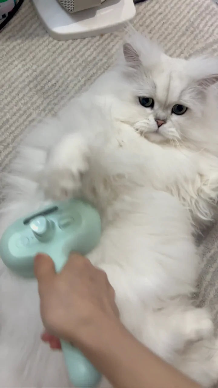 MistGroom Brush grooming a fluffy white cat on a bed.